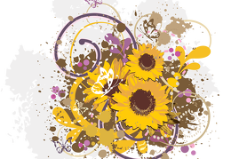 sunflower 38