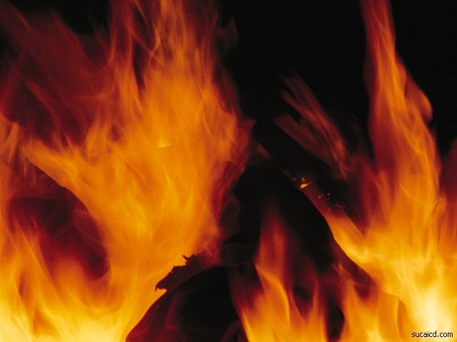 fire (98)