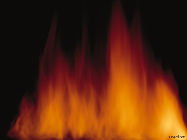 fire (101).jpg