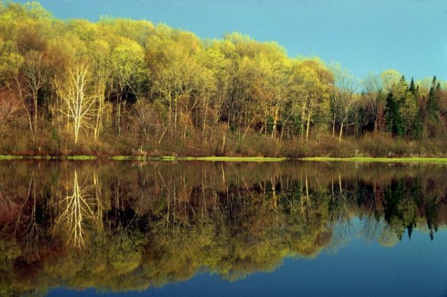 Water_Reflection_in_Nature_01.jpg