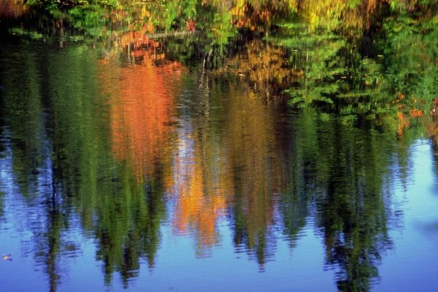 Water_Reflection_in_Nature_20.jpg