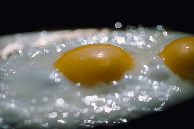Egg 27