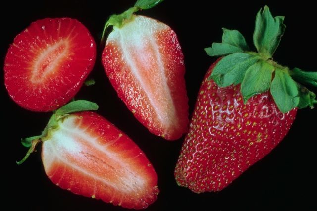 Strawberry 104